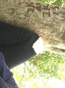 Meet your Posher, Isabella